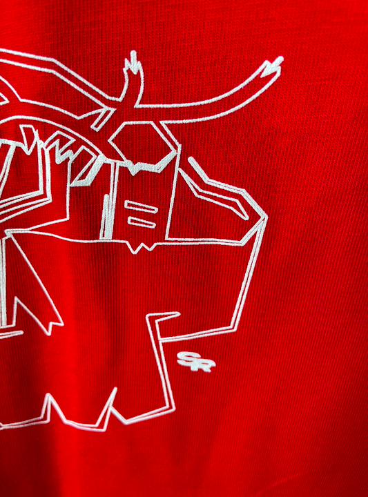 close up of graphic print on red shirt